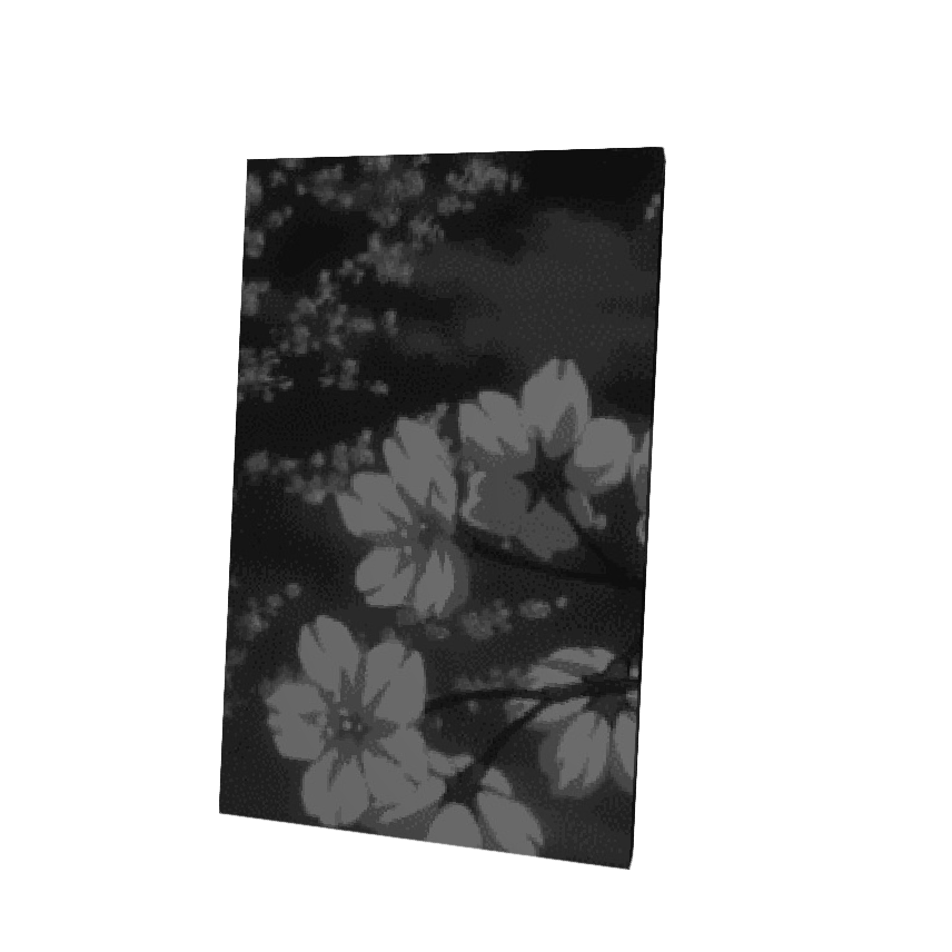 The Blossom Cape