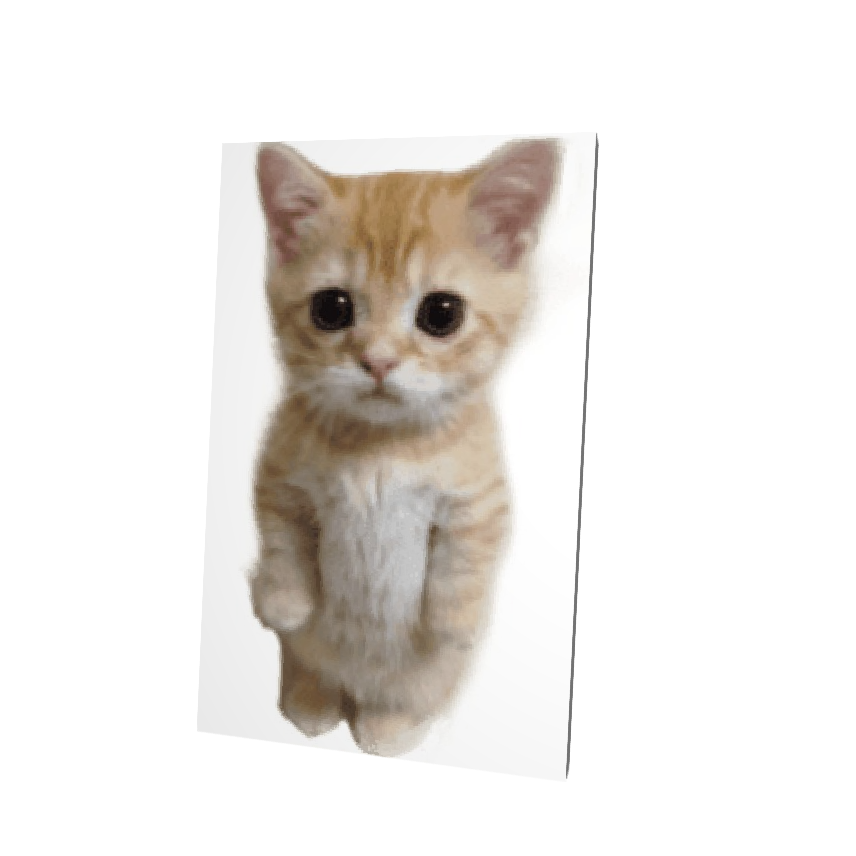 Cat Meme Cape