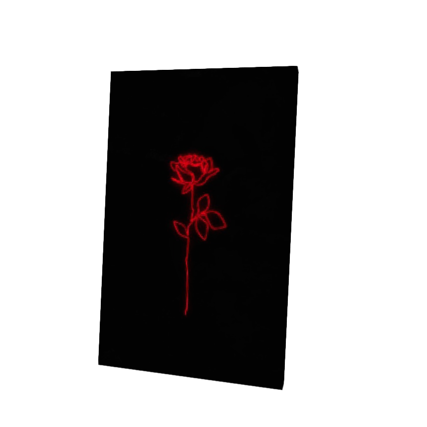 Red Rose Cape