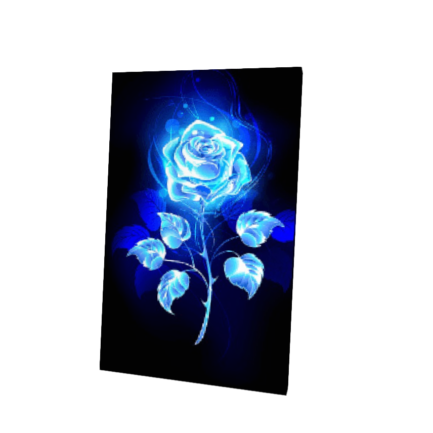 Blue Rose Cape