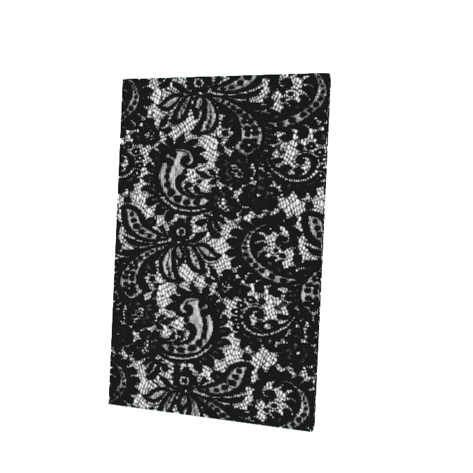 Black Abstraction Cape