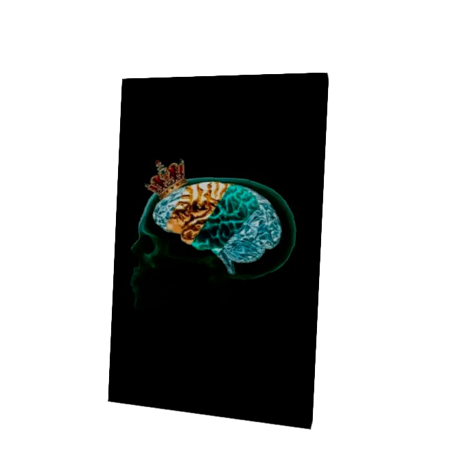Brain Crown Cape
